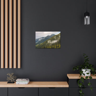 Fog In The Trees Canvas Gallery Wraps