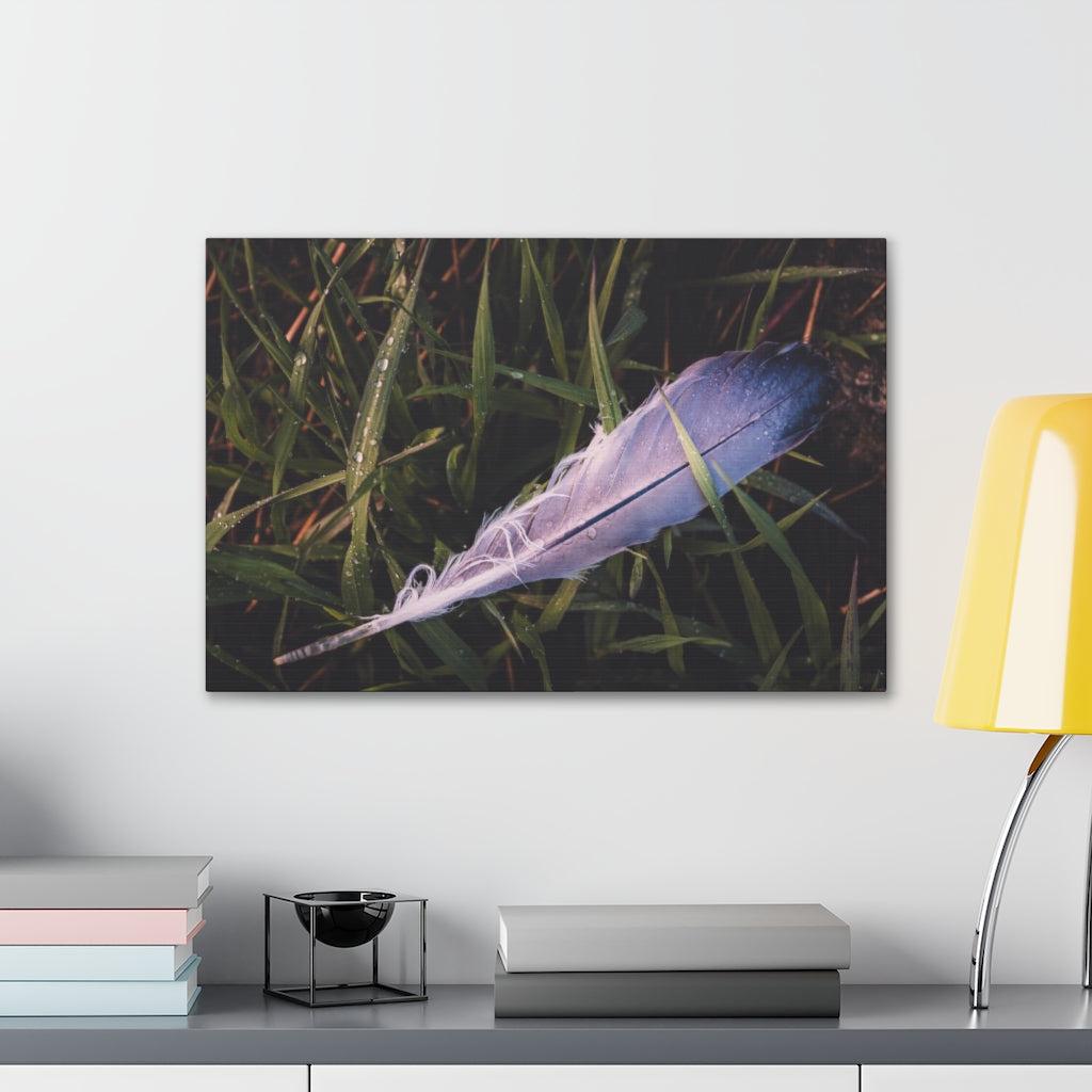 Feather In Grass Canvas Gallery Wrap