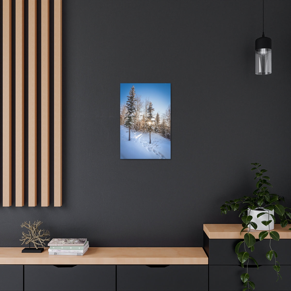 Colorado Sunburst In The Snow Canvas Gallery Wrap