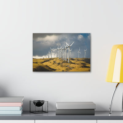 Cabo Windmills Canvas Gallery Wrap