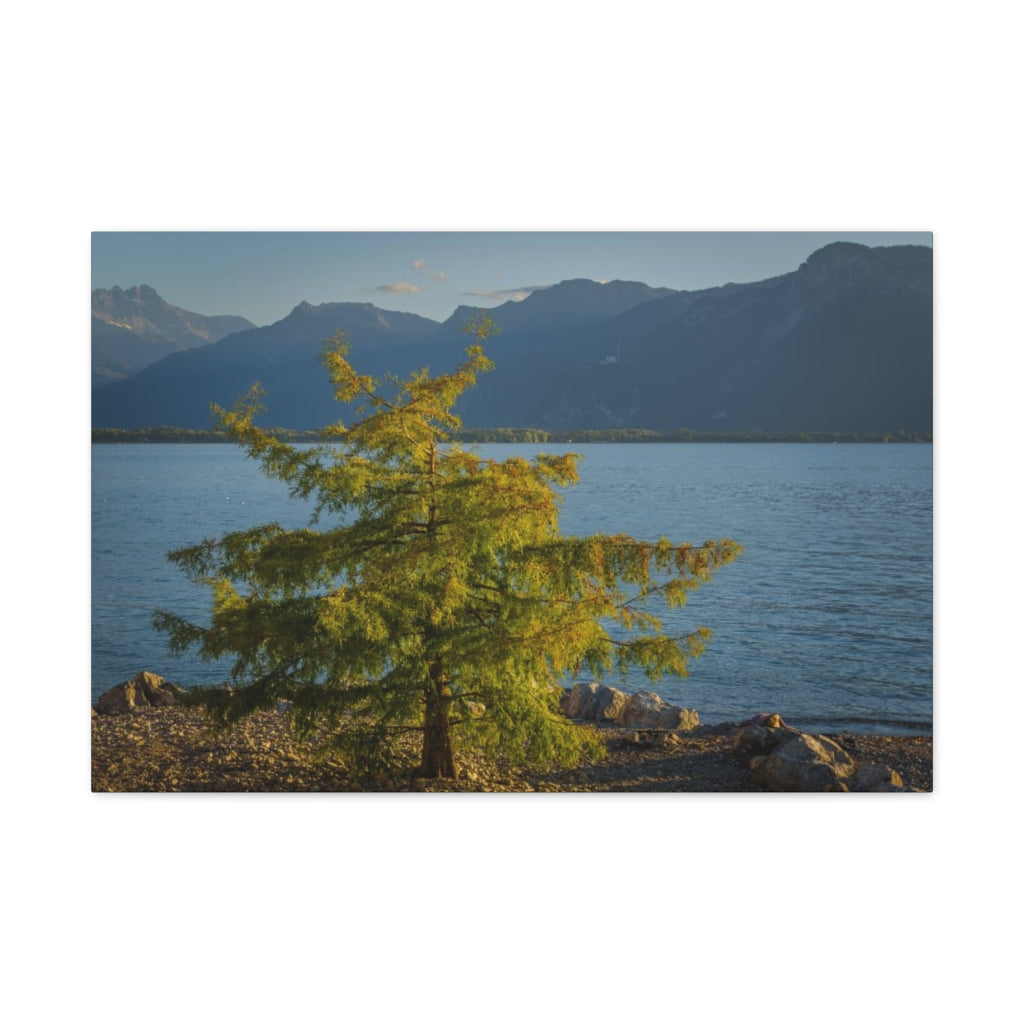 Lake Geneva Tree Canvas Gallery Wrap