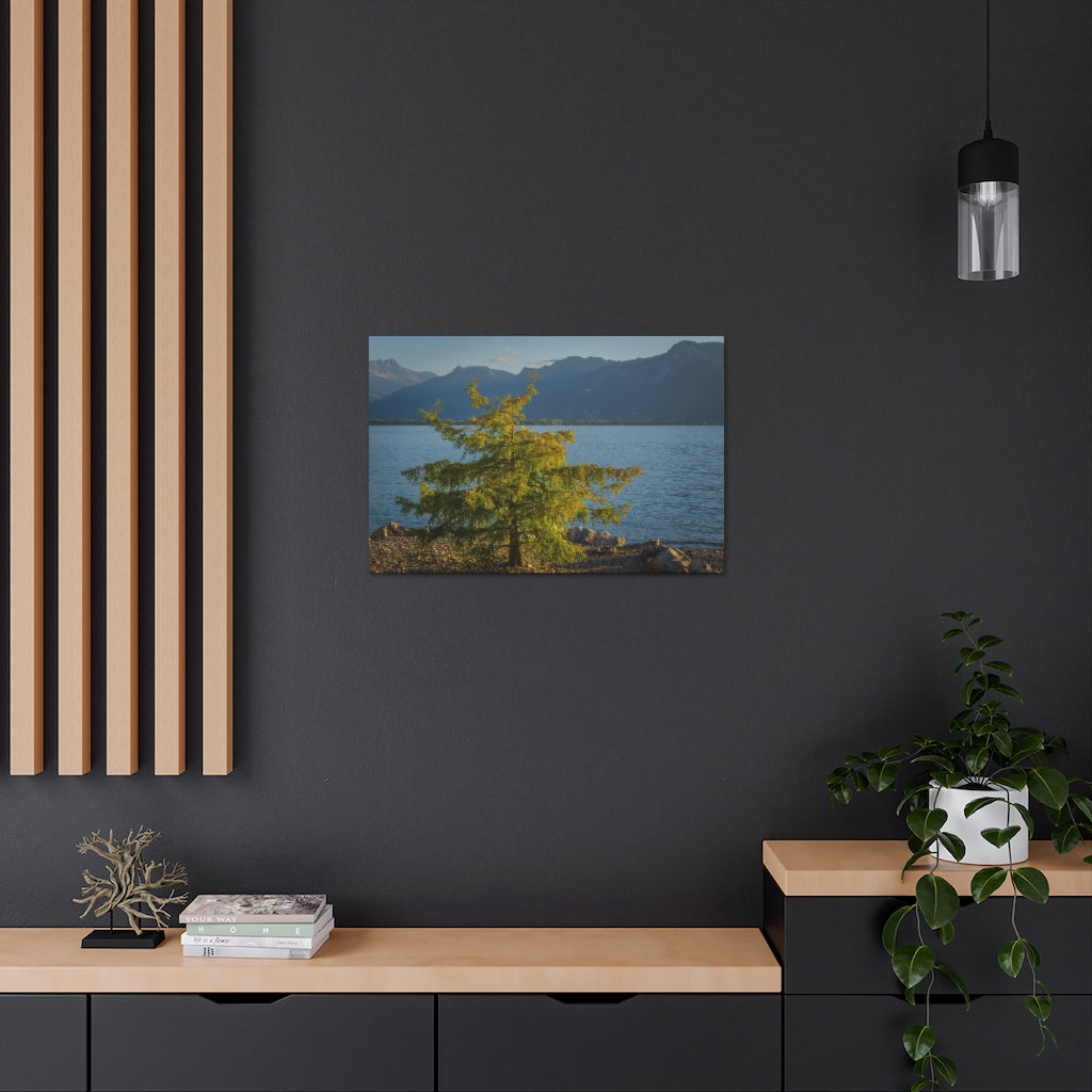 Lake Geneva Tree Canvas Gallery Wrap