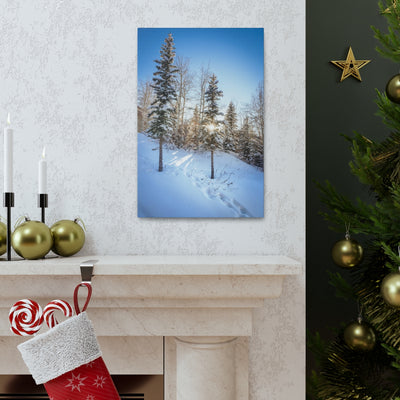 Colorado Sunburst In The Snow Canvas Gallery Wrap