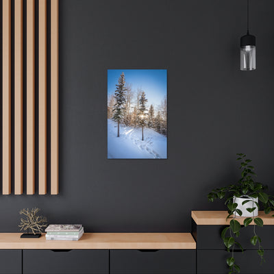 Colorado Sunburst In The Snow Canvas Gallery Wrap