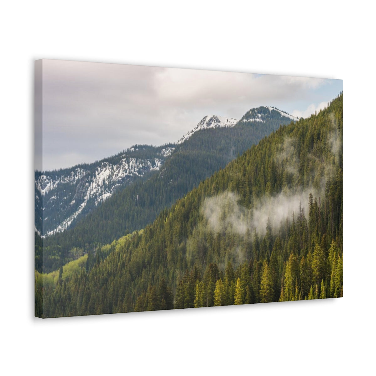 Fog In The Trees Canvas Gallery Wraps