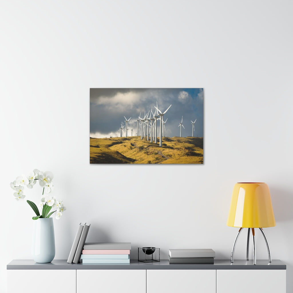 Cabo Windmills Canvas Gallery Wrap