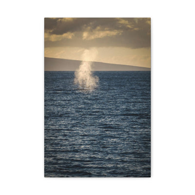 Whale Spray At Sunset Canvas Gallery Wraps