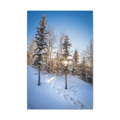 Colorado Sunburst In The Snow Canvas Gallery Wrap