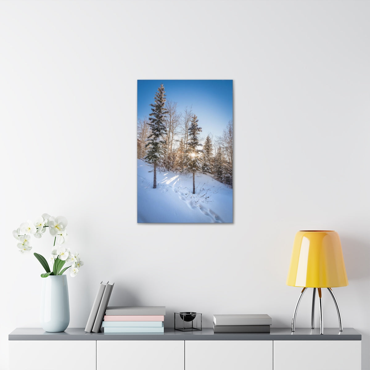 Colorado Sunburst In The Snow Canvas Gallery Wrap