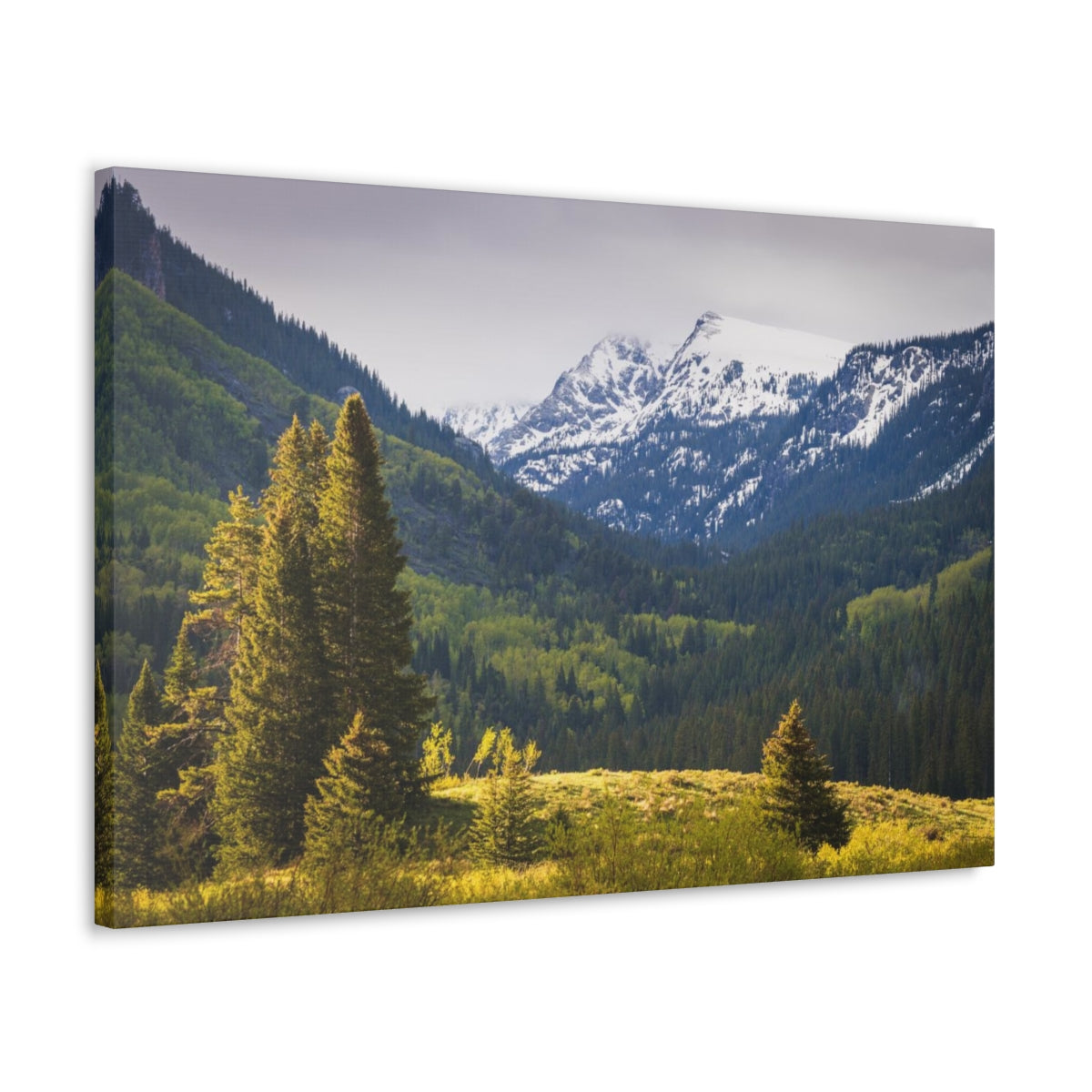 Colorado Mountains Canvas Gallery Wraps