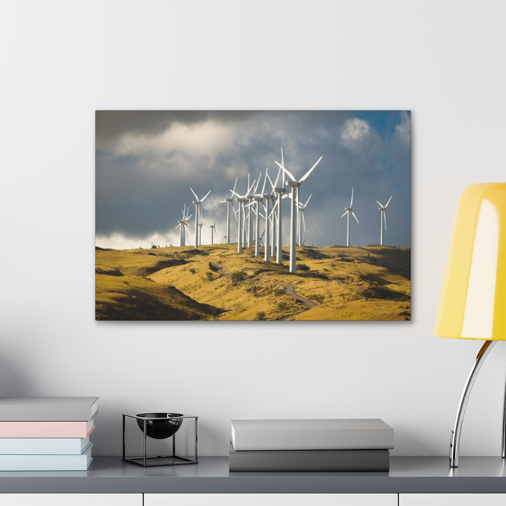 Cabo Windmills Canvas Gallery Wrap