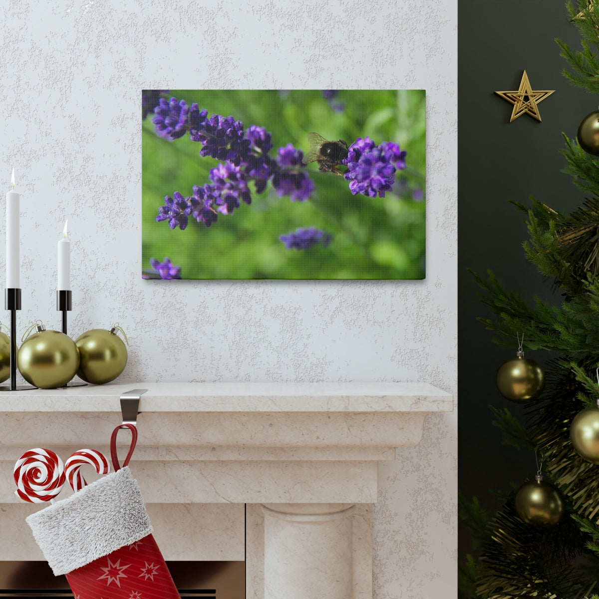 Bee on Lavender Canvas Gallery Wraps