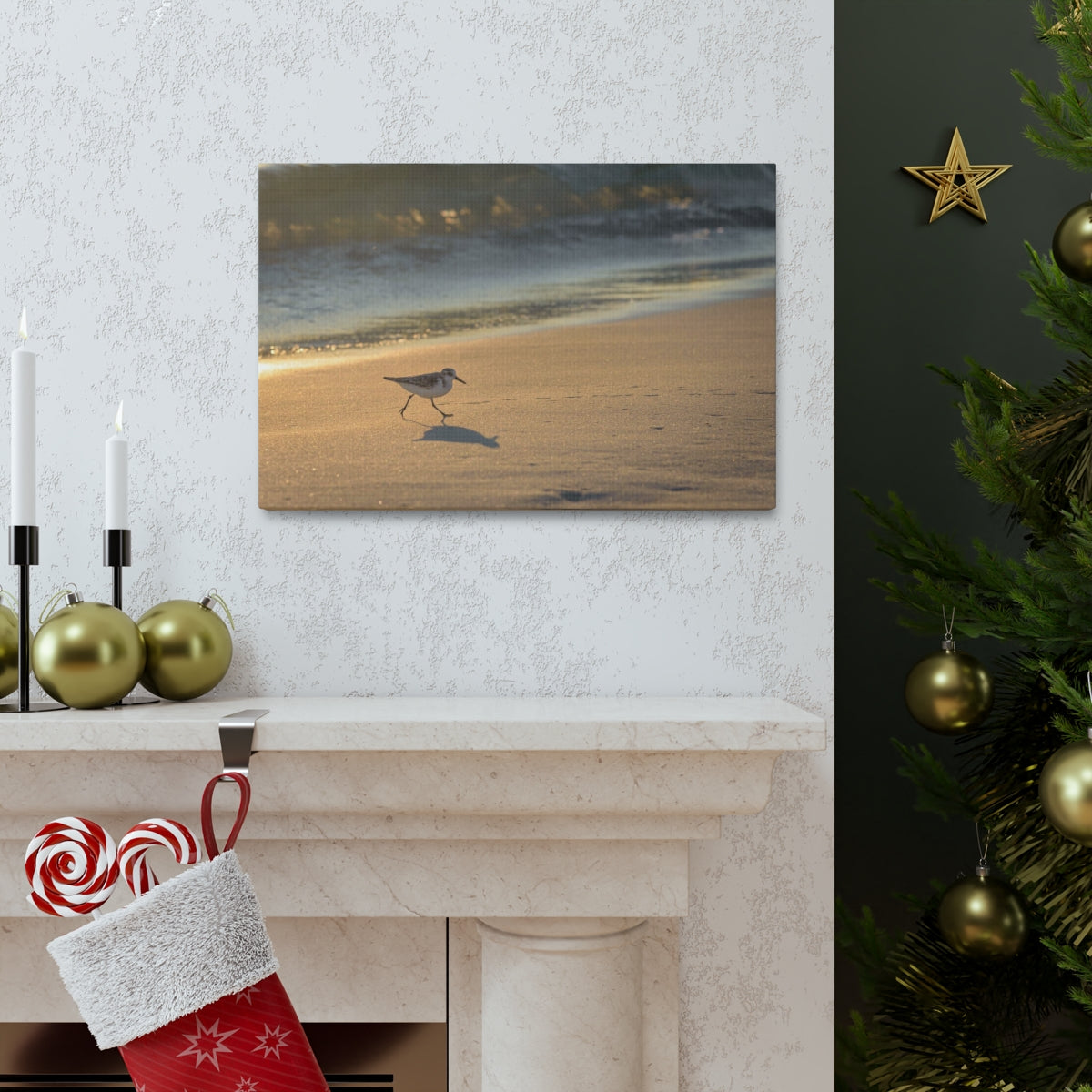 Sand Piper Running Canvas Gallery Wraps