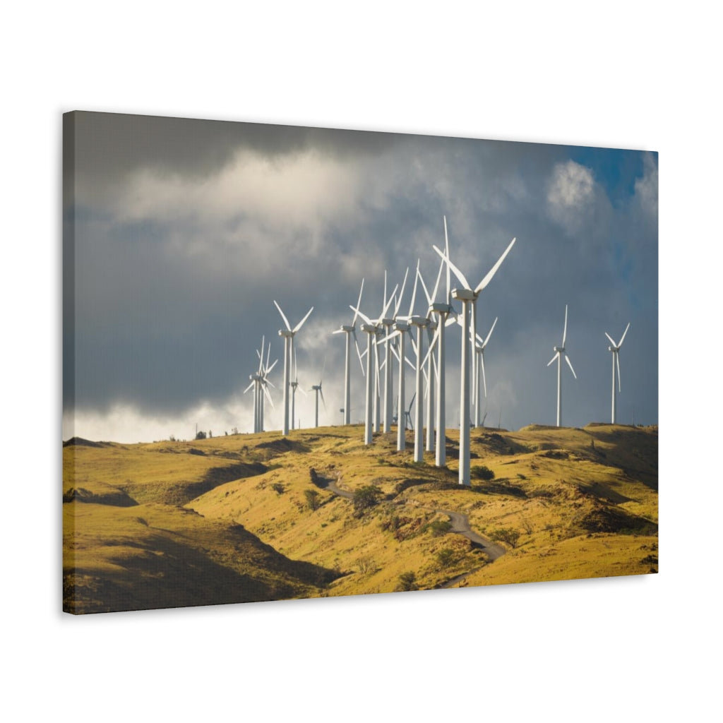 Cabo Windmills Canvas Gallery Wrap