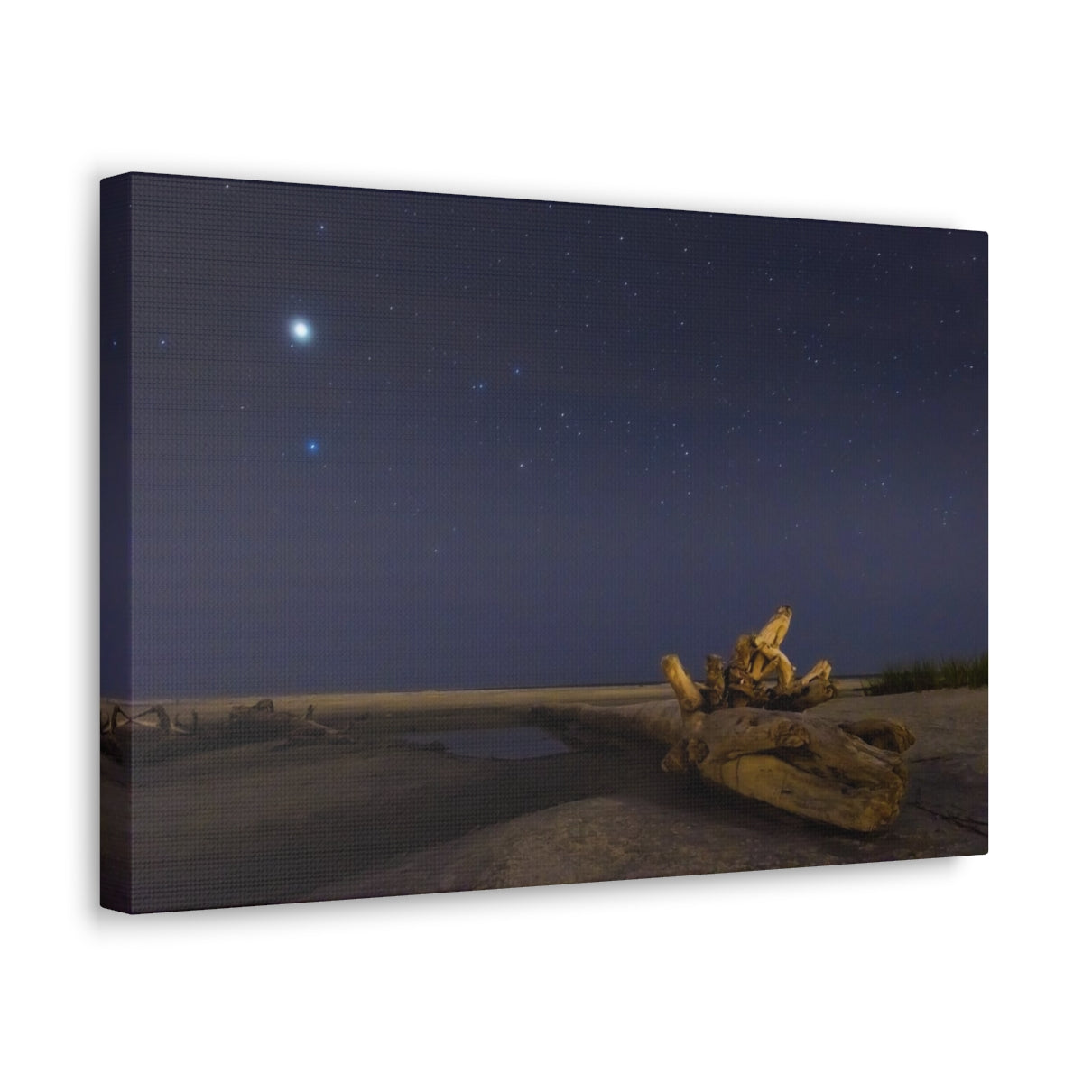 Driftwood Under the Stars Canvas Gallery Wraps