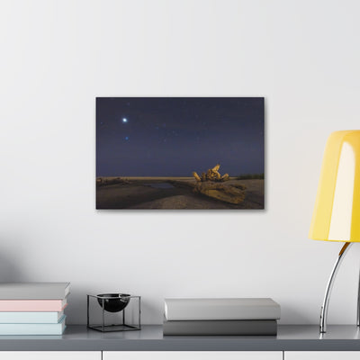 Driftwood Under the Stars Canvas Gallery Wraps