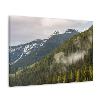 Fog In The Trees Canvas Gallery Wraps