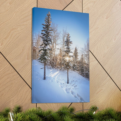 Colorado Sunburst In The Snow Canvas Gallery Wrap