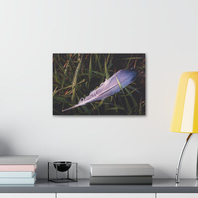 Feather In Grass Canvas Gallery Wrap