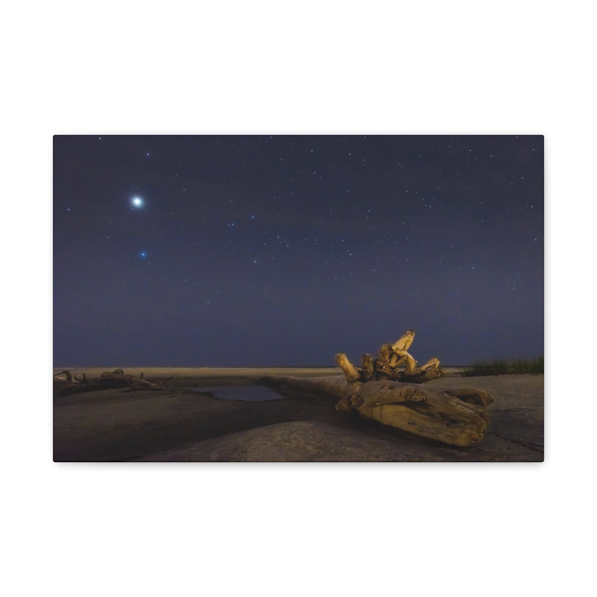 Driftwood Under the Stars Canvas Gallery Wraps