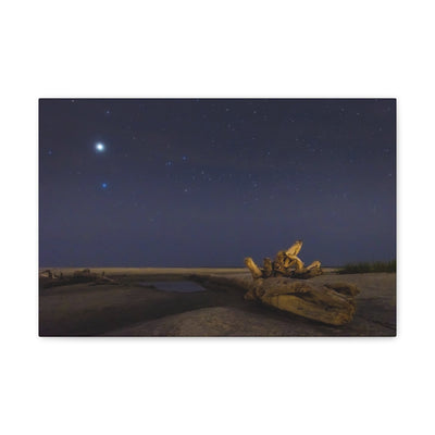 Driftwood Under the Stars Canvas Gallery Wraps