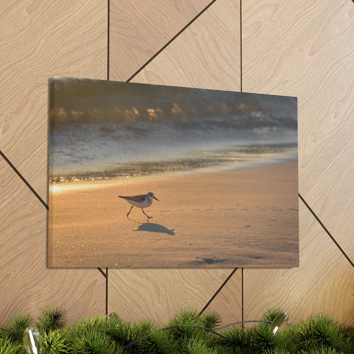 Sand Piper Running Canvas Gallery Wraps