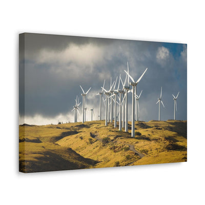 Cabo Windmills Canvas Gallery Wrap