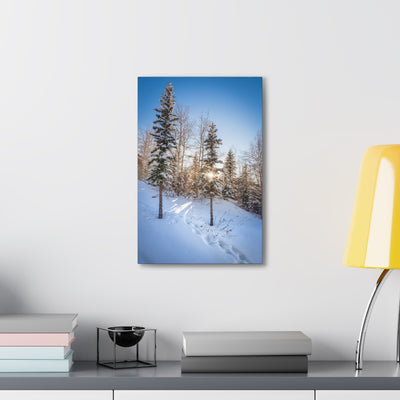 Colorado Sunburst In The Snow Canvas Gallery Wrap