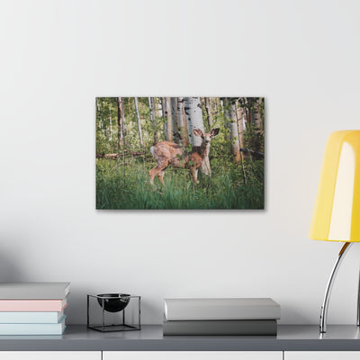 Deer in The Woods Canvas Gallery Wrap