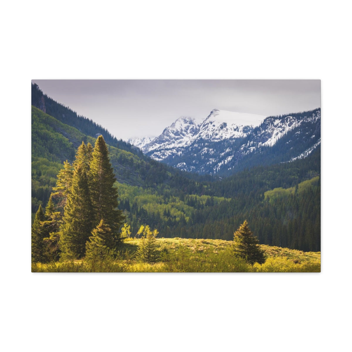 Colorado Mountains Canvas Gallery Wraps