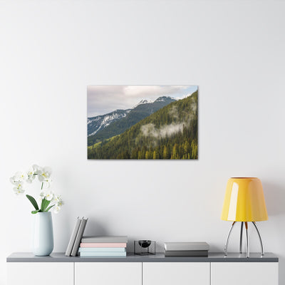 Fog In The Trees Canvas Gallery Wraps