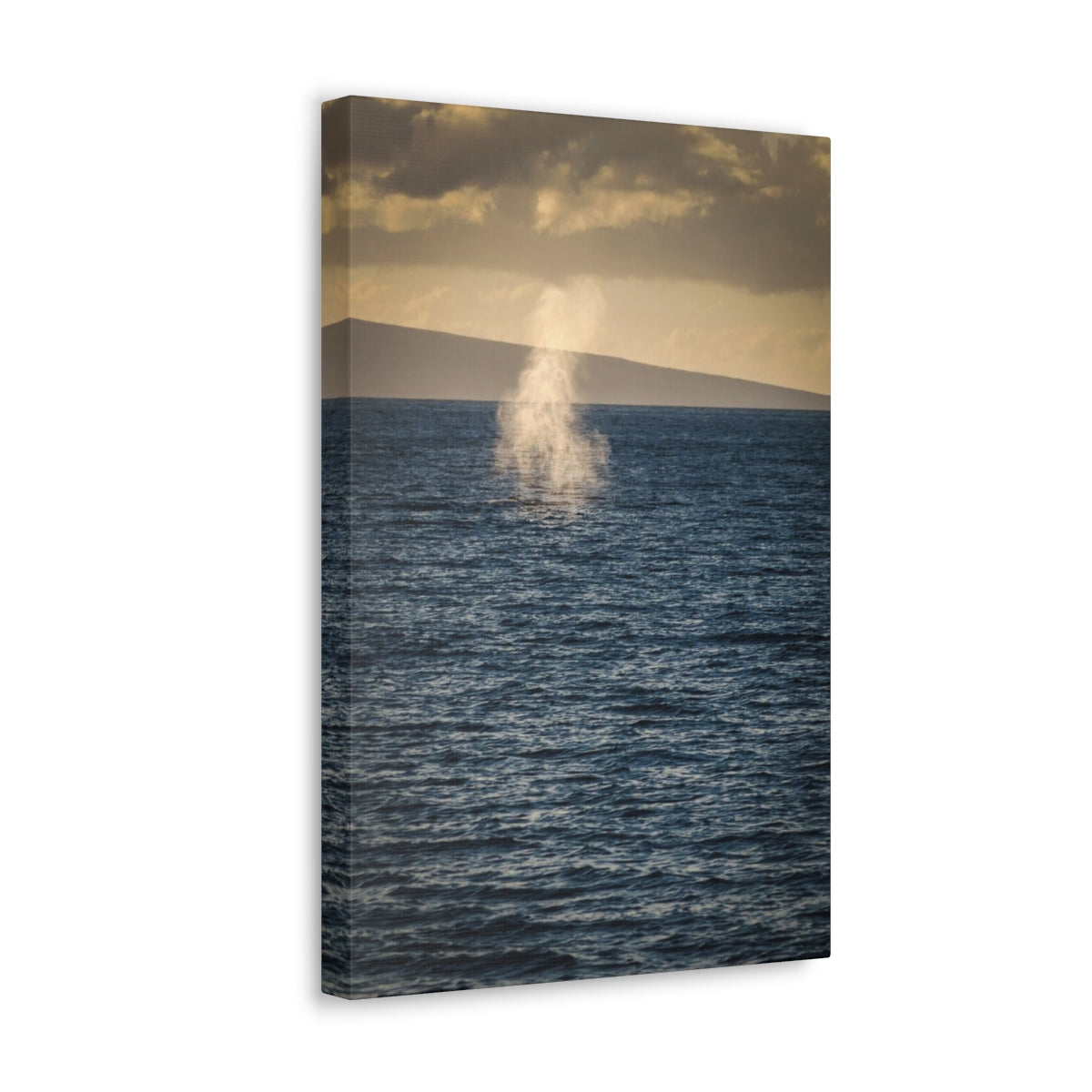 Whale Spray At Sunset Canvas Gallery Wraps