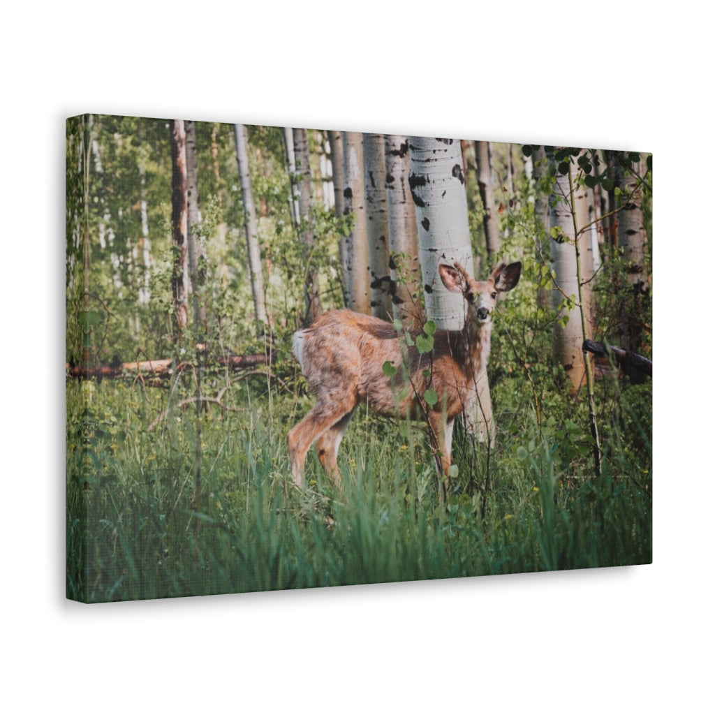 Deer in The Woods Canvas Gallery Wrap