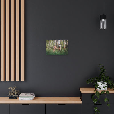 Deer in The Woods Canvas Gallery Wrap