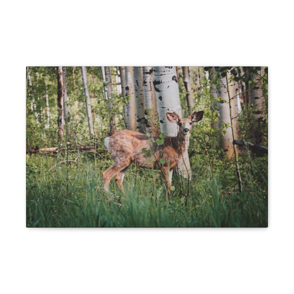 Deer in The Woods Canvas Gallery Wrap