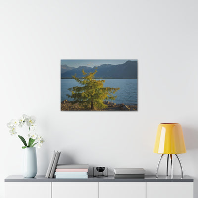 Lake Geneva Tree Canvas Gallery Wrap