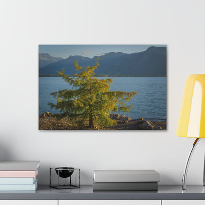 Lake Geneva Tree Canvas Gallery Wrap