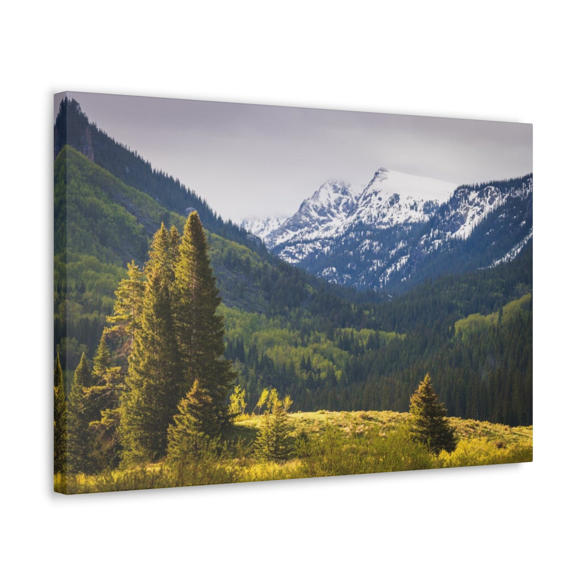 Colorado Mountains Canvas Gallery Wraps